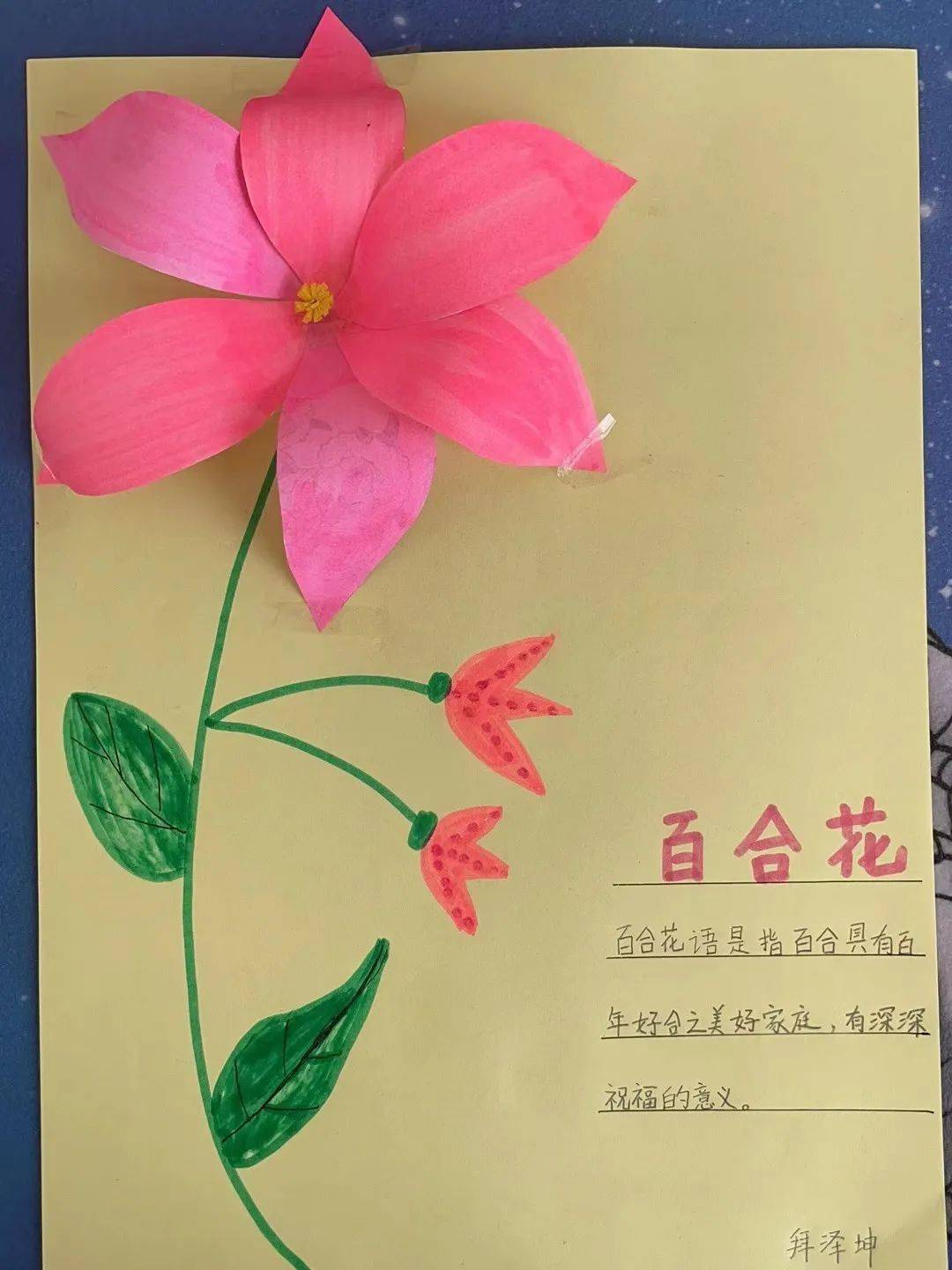幼儿园园艺教案_小园艺师教案_幼儿园园艺师教案