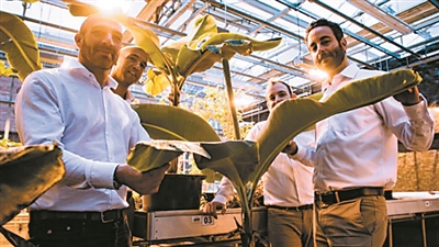 plagueinc真菌困难模式怎么过_plagueinc真菌困难模式怎么过_plagueinc真菌困难模式怎么过