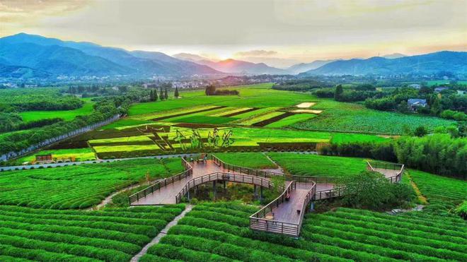 胡善围乐文_《胡善围》_胡善围历史生平