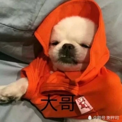 死冬桌游_99死桌游_本人已死 桌游