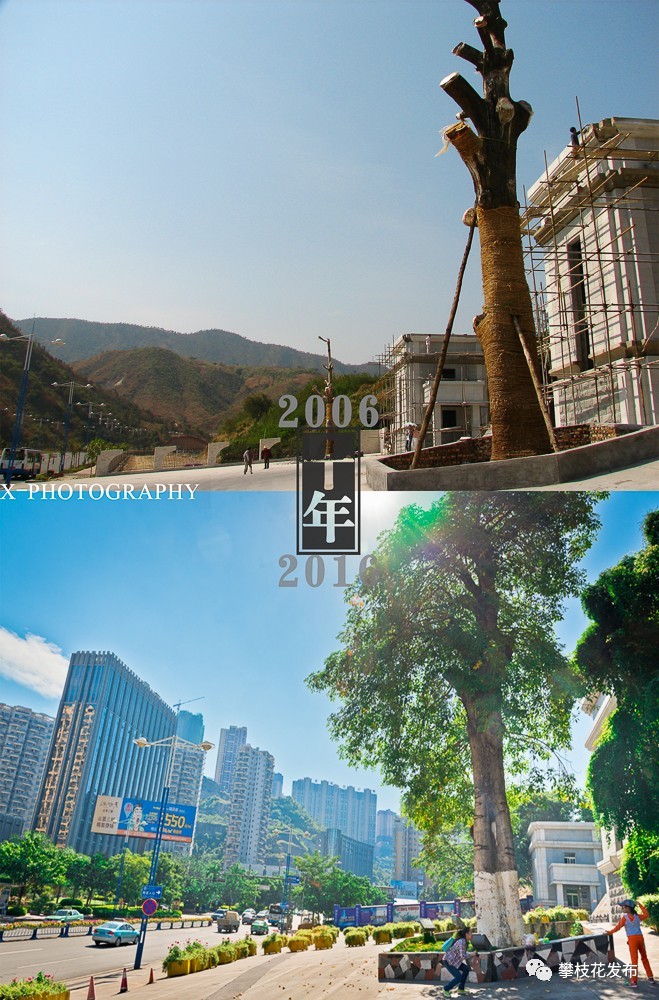 修复抖动的视频app_照片抖动修复软件_抖动修复照片软件下载