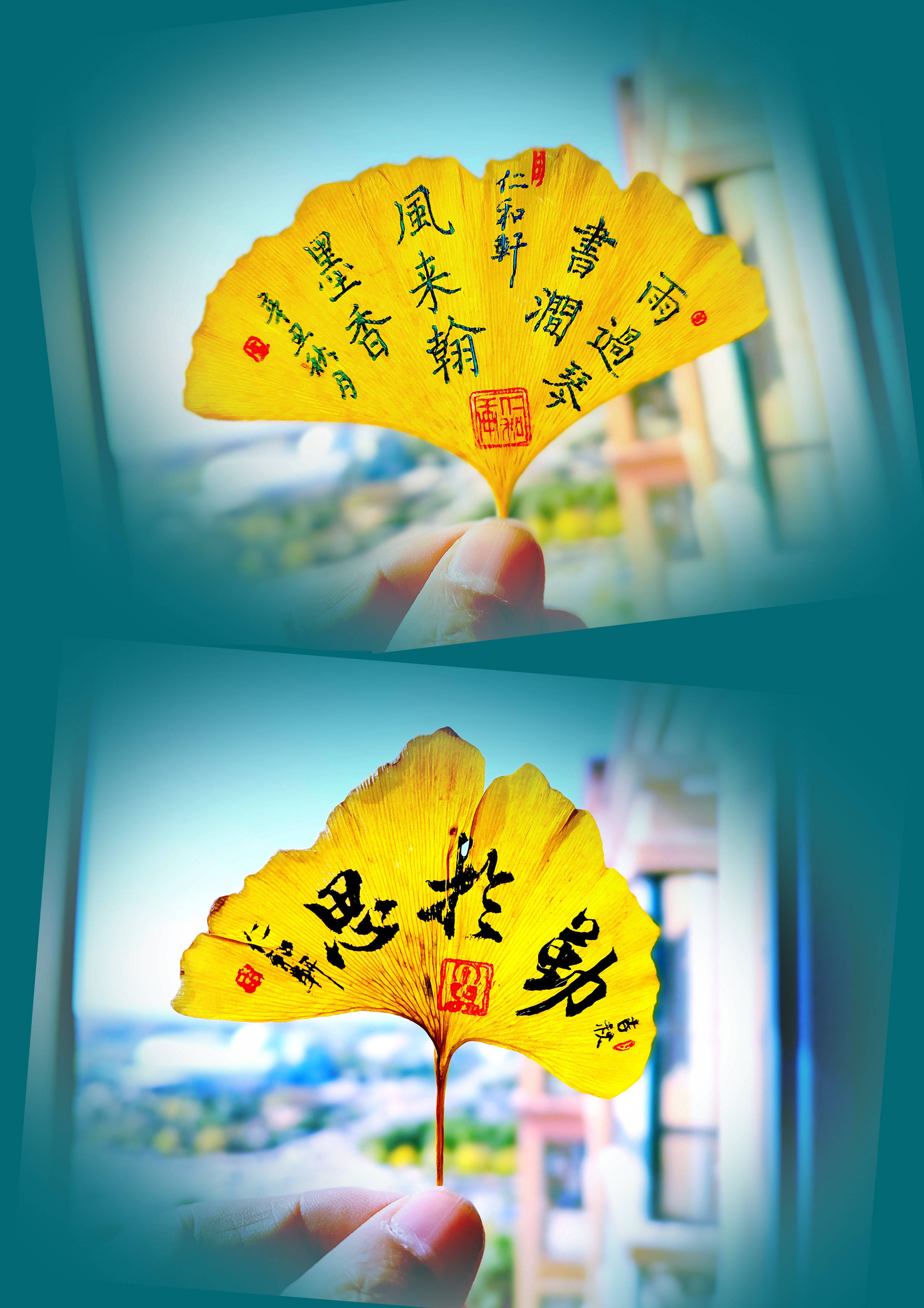 降调软件_降调软件免费下载_软件降调的问题有哪些