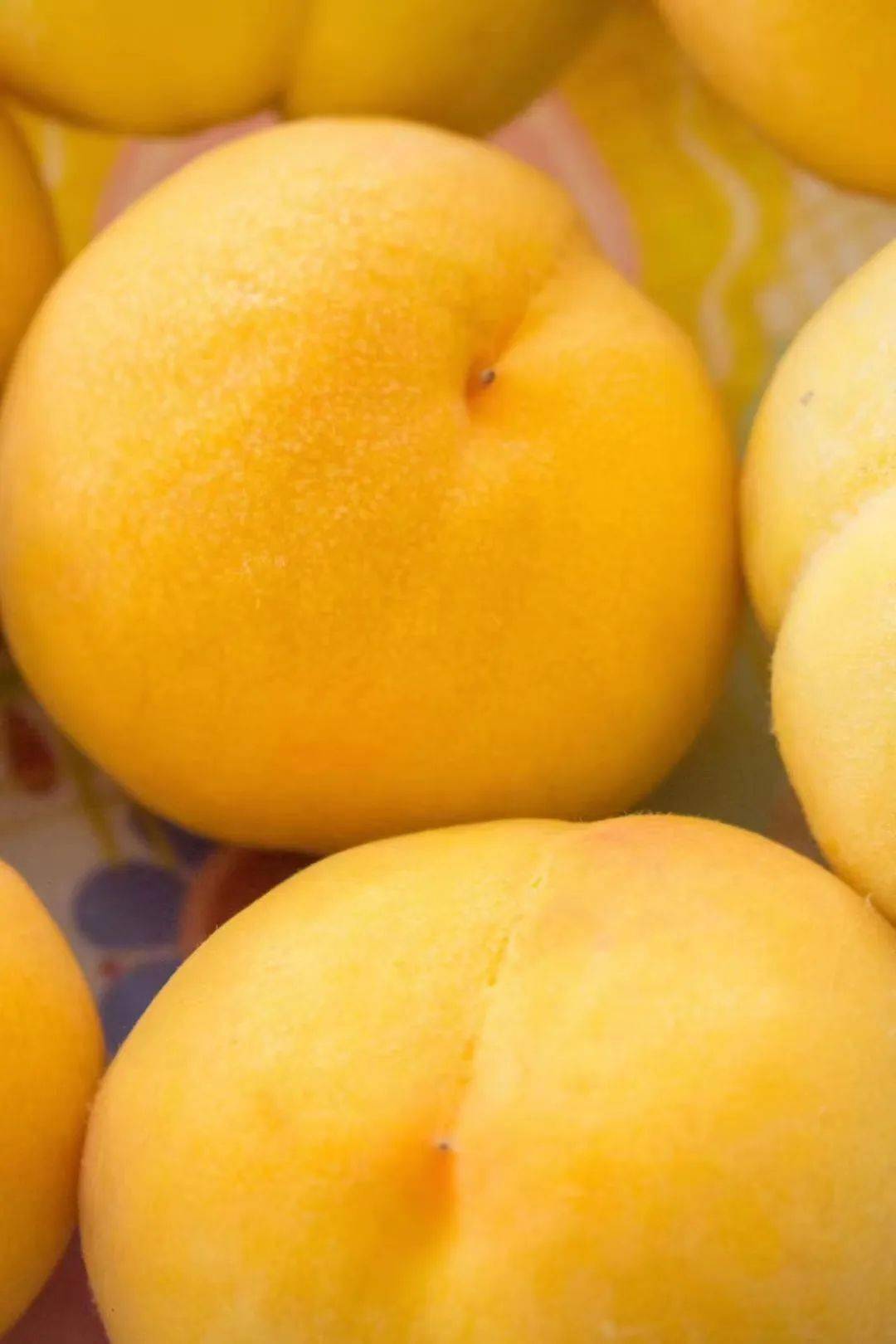 萌妻很q弹:帝少的1000亿宠儿_萌妻很q弹:帝少的1000亿宠儿_萌妻很q弹:帝少的1000亿宠儿