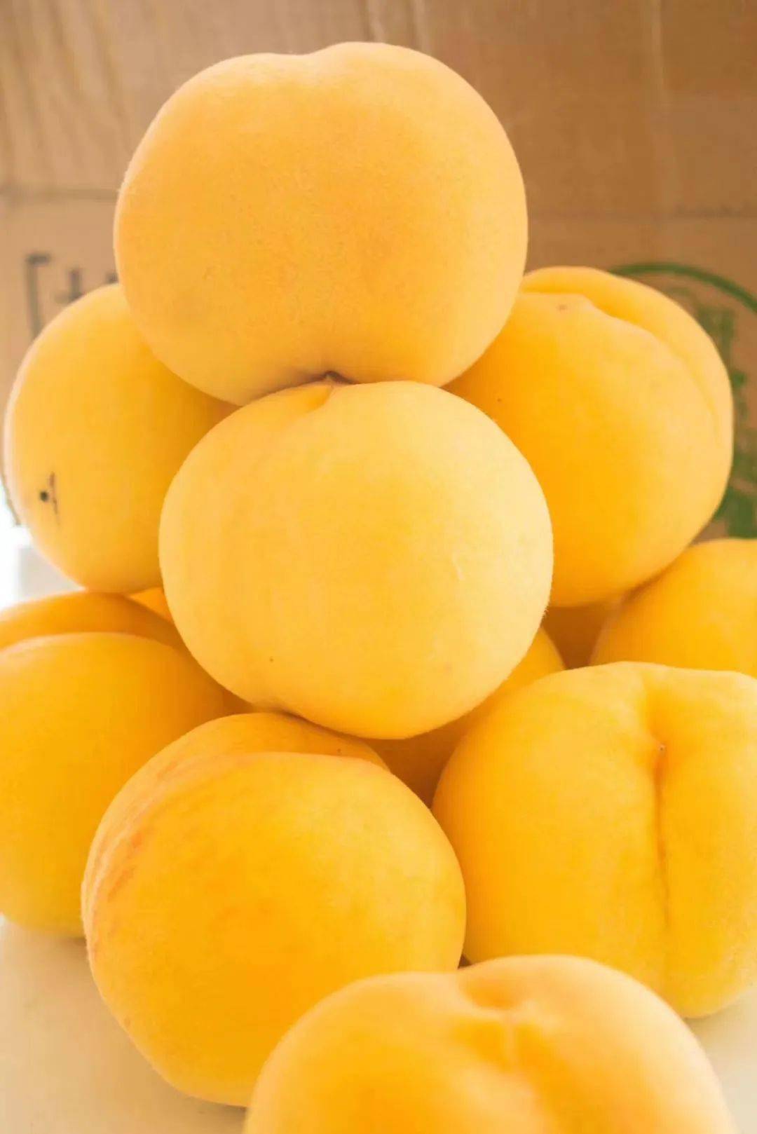 萌妻很q弹:帝少的1000亿宠儿_萌妻很q弹:帝少的1000亿宠儿_萌妻很q弹:帝少的1000亿宠儿